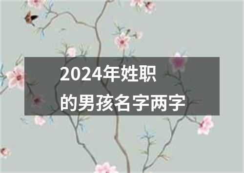 2024年姓职的男孩名字两字