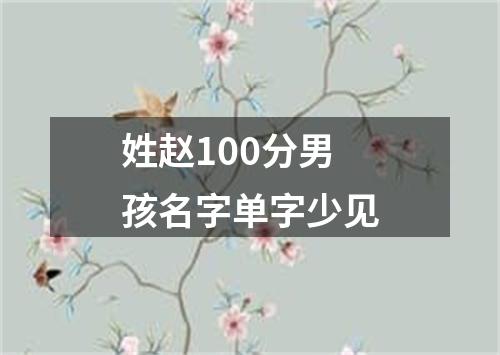 姓赵100分男孩名字单字少见