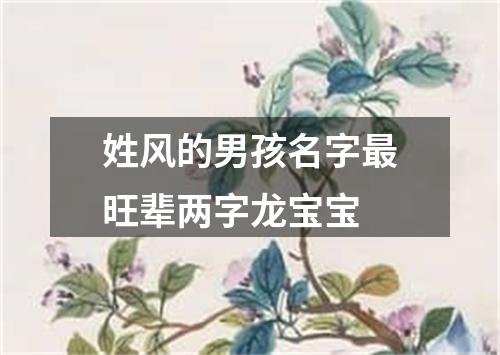 姓风的男孩名字最旺辈两字龙宝宝