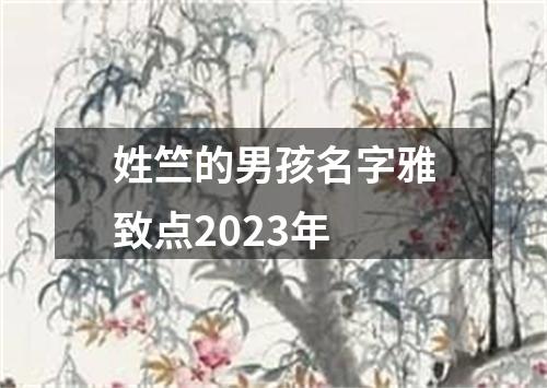 姓竺的男孩名字雅致点2023年