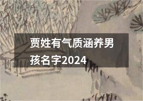 贾姓有气质涵养男孩名字2024