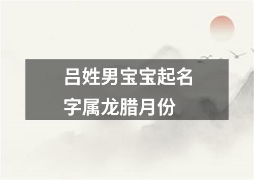 吕姓男宝宝起名字属龙腊月份