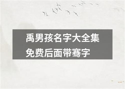 禹男孩名字大全集免费后面带骞字