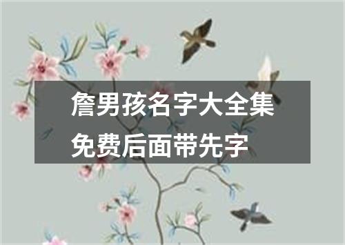 詹男孩名字大全集免费后面带先字