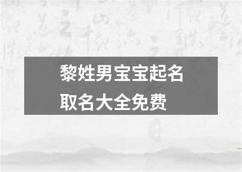 黎姓男宝宝起名取名大全免费