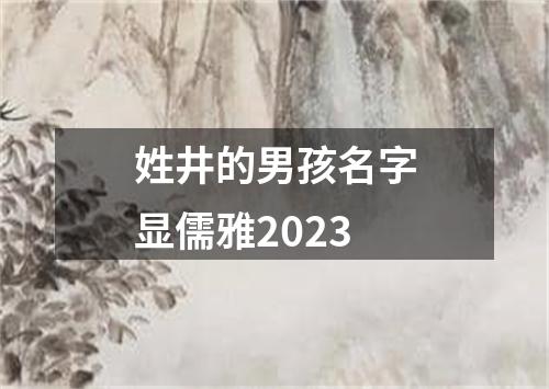 姓井的男孩名字显儒雅2023