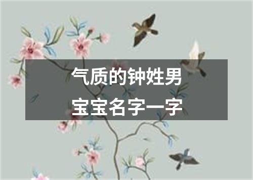 气质的钟姓男宝宝名字一字