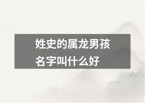 姓史的属龙男孩名字叫什么好