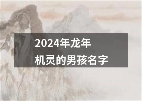 2024年龙年机灵的男孩名字