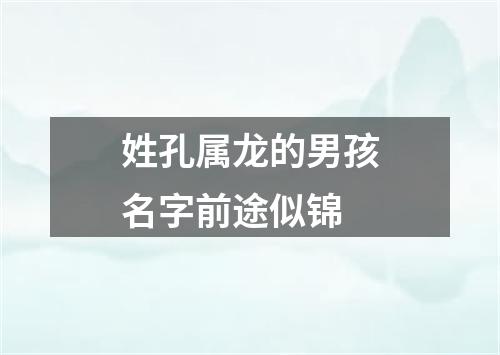 姓孔属龙的男孩名字前途似锦