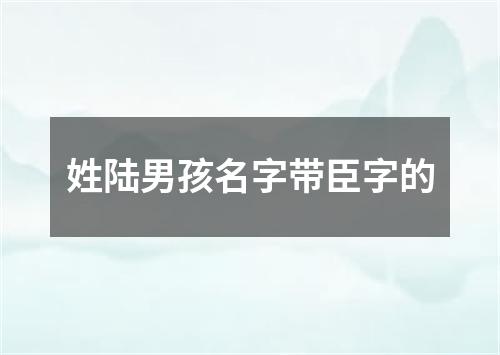 姓陆男孩名字带臣字的