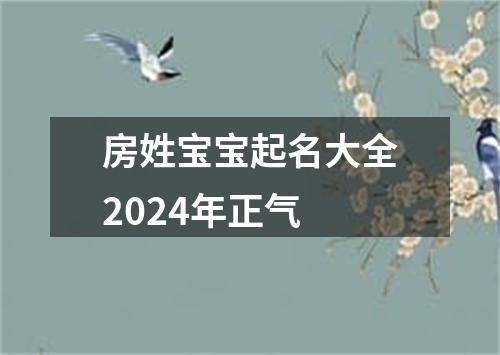 房姓宝宝起名大全2024年正气