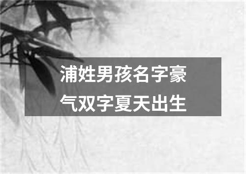 浦姓男孩名字豪气双字夏天出生