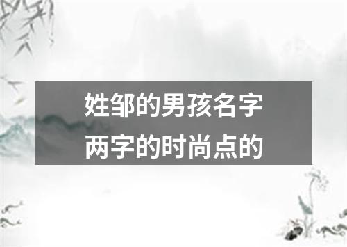 姓邹的男孩名字两字的时尚点的