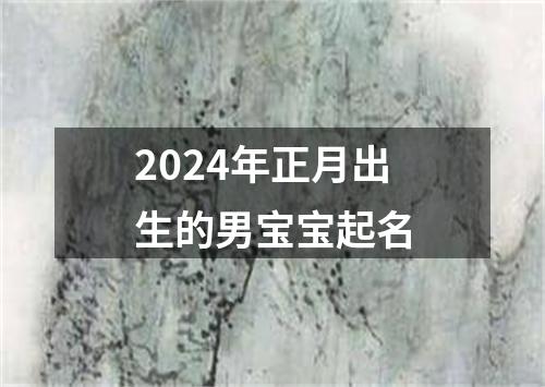 2024年正月出生的男宝宝起名