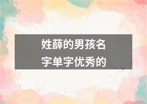 姓薛的男孩名字单字优秀的