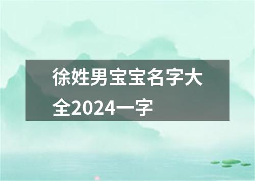 徐姓男宝宝名字大全2024一字