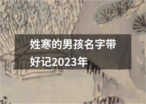 姓寒的男孩名字带好记2023年