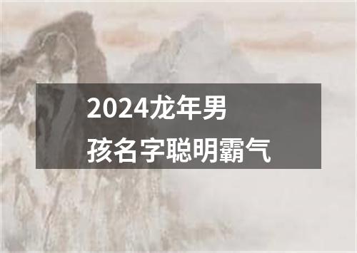 2024龙年男孩名字聪明霸气