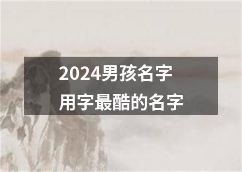 2024男孩名字用字最酷的名字