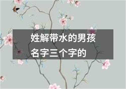 姓解带水的男孩名字三个字的