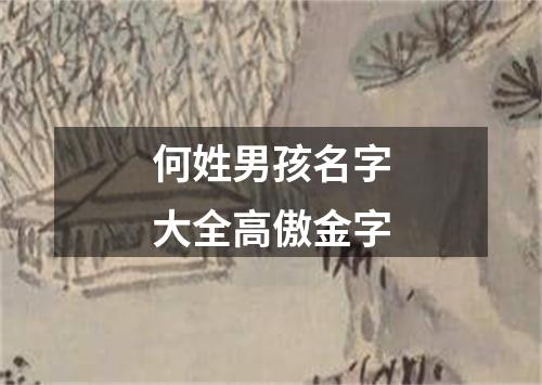 何姓男孩名字大全高傲金字