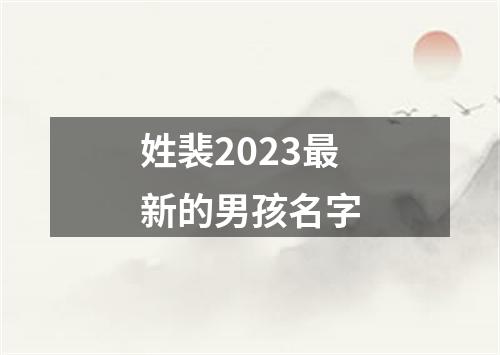 姓裴2023最新的男孩名字