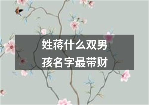 姓蒋什么双男孩名字最带财