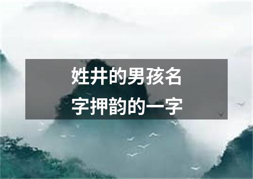 姓井的男孩名字押韵的一字