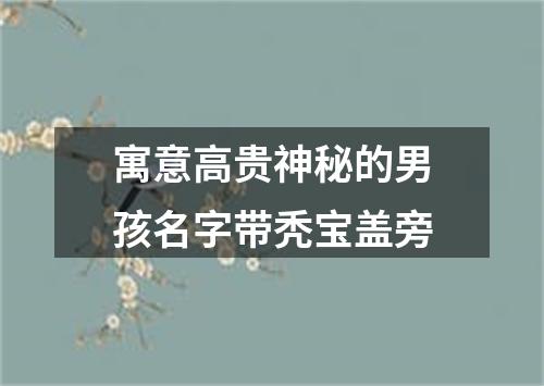 寓意高贵神秘的男孩名字带秃宝盖旁