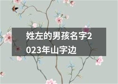 姓左的男孩名字2023年山字边