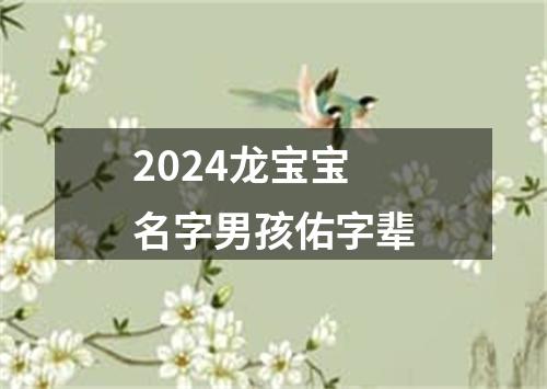 2024龙宝宝名字男孩佑字辈