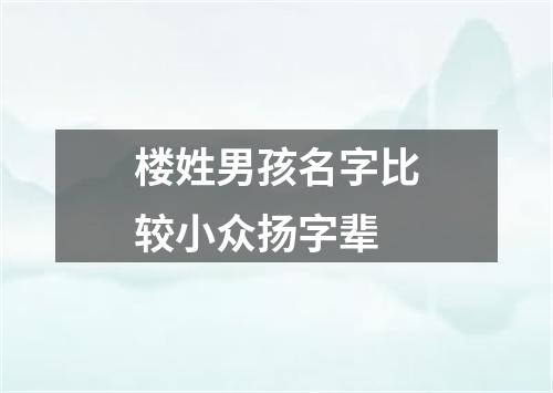 楼姓男孩名字比较小众扬字辈