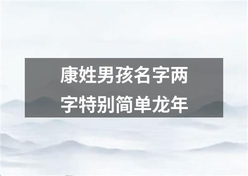 康姓男孩名字两字特别简单龙年