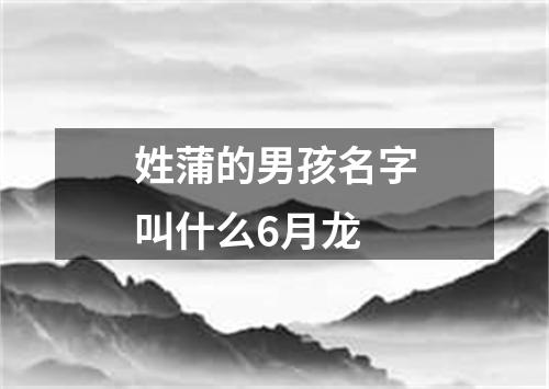 姓蒲的男孩名字叫什么6月龙