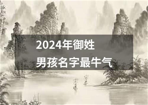 2024年御姓男孩名字最牛气