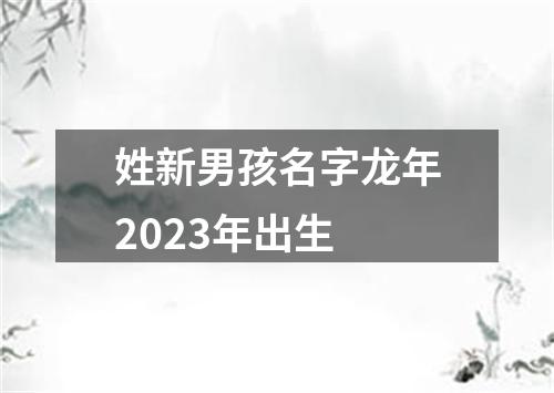 姓新男孩名字龙年2023年出生