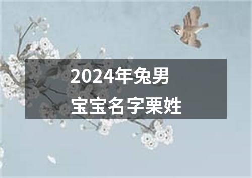 2024年兔男宝宝名字栗姓