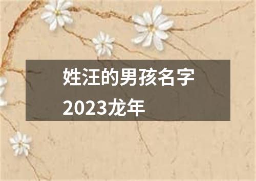 姓汪的男孩名字2023龙年