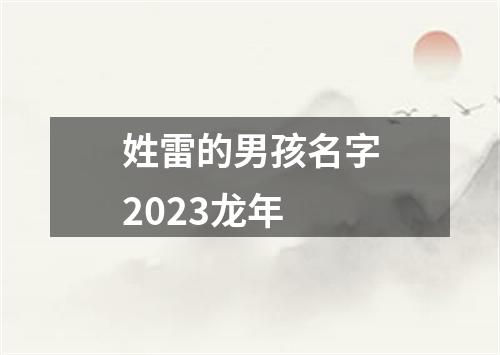 姓雷的男孩名字2023龙年