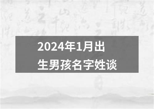 2024年1月出生男孩名字姓谈