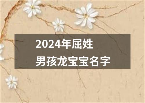 2024年屈姓男孩龙宝宝名字