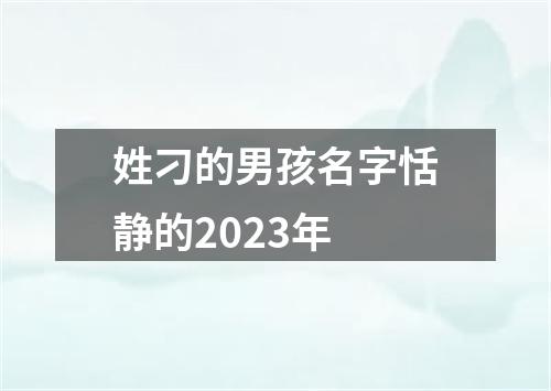 姓刁的男孩名字恬静的2023年