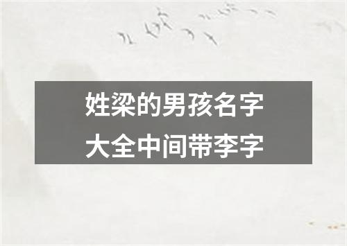 姓梁的男孩名字大全中间带李字