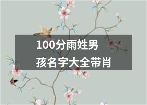 100分雨姓男孩名字大全带肖