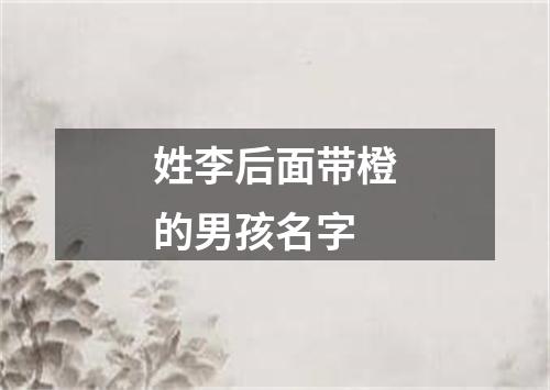 姓李后面带橙的男孩名字