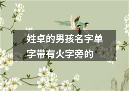 姓卓的男孩名字单字带有火字旁的