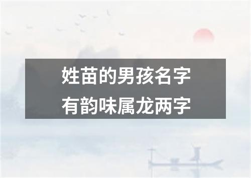 姓苗的男孩名字有韵味属龙两字