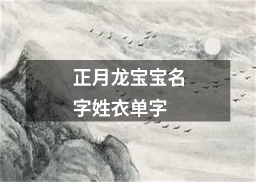 正月龙宝宝名字姓衣单字