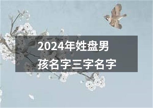 2024年姓盘男孩名字三字名字